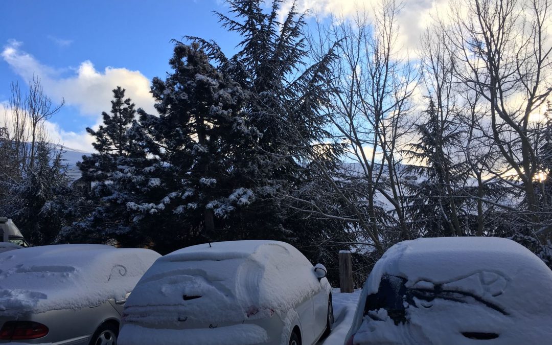 Visita a Sierra Nevada