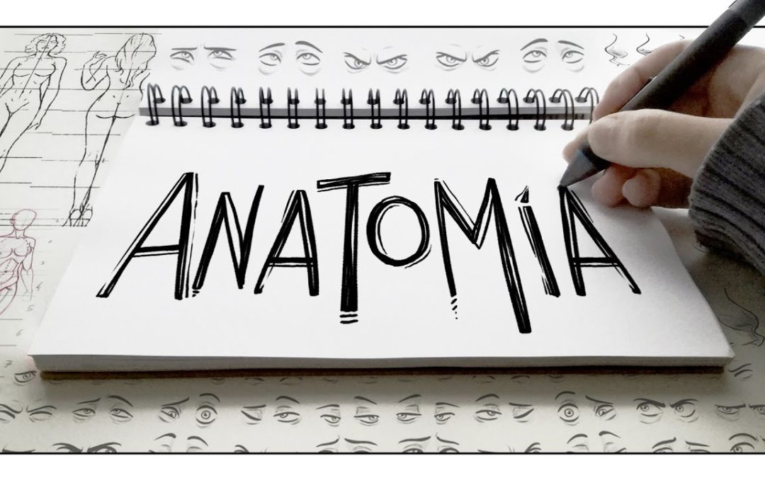 Blogs sobre Anatomía