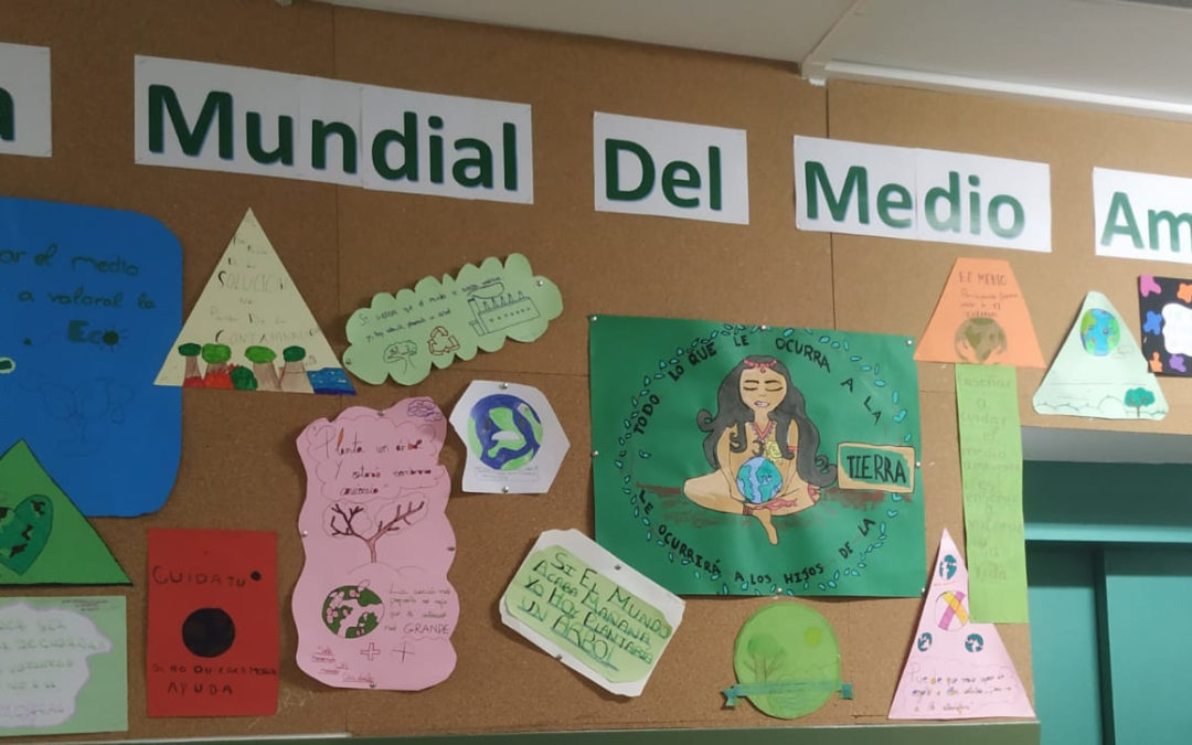DÍA MUNDIAL DEL MEDIO AMBIENTE