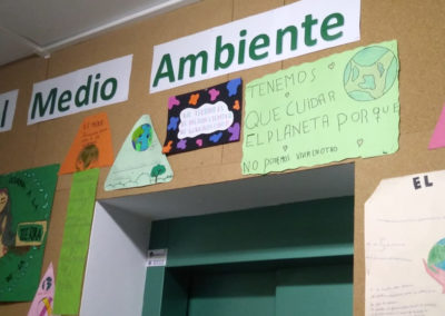 Día del Medio Ambiente