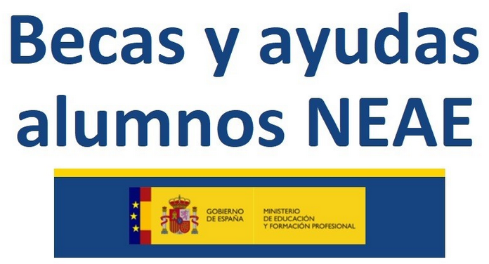 Becas NEAE