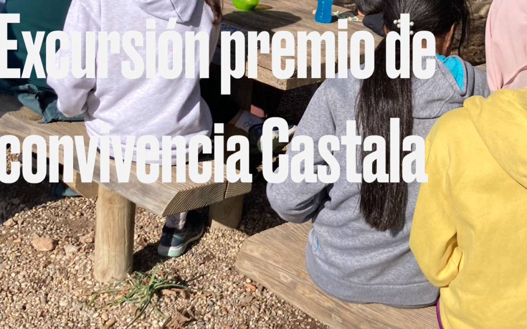 Recompensa a la convivencia positiva en Castala