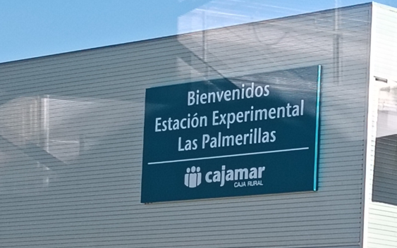 Visita a la estación experimental “Las Palmerillas”.