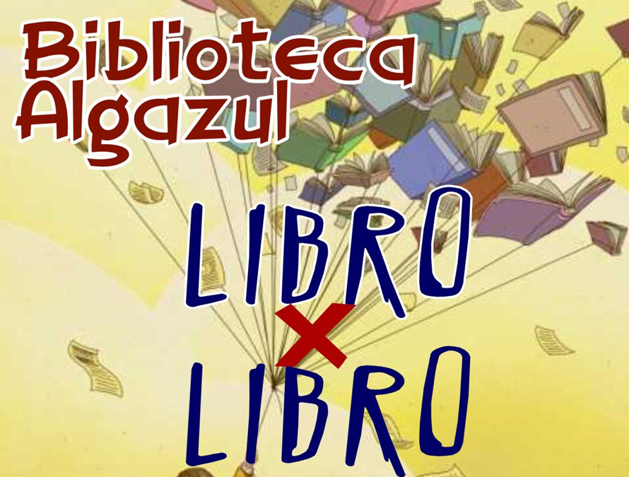 Mercadillo de libros
